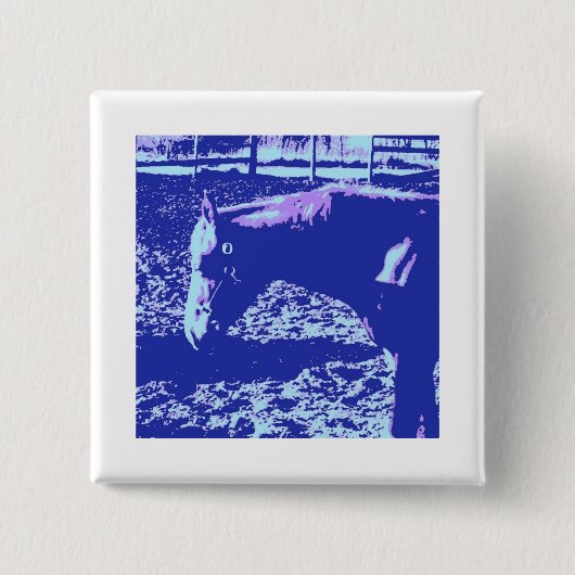 Pop Ranch Button (Vorderseite)