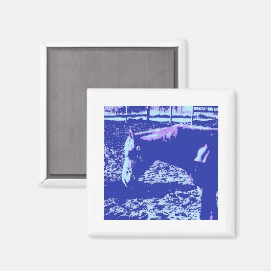 Pop Ranch Magnet (Vorderseite/Rückseite)