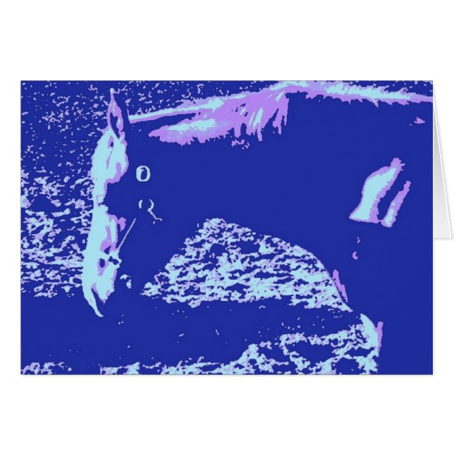 Pop Reiten (Vorderseite (Horizontal))