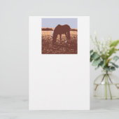 Pop Reiten Briefpapier (Stehend Vorderseite)