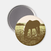 Pop Reiten Magnet (Vorderseite/Rückseite)