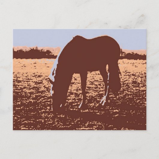 Pop Reiten Postkarte (Vorderseite)