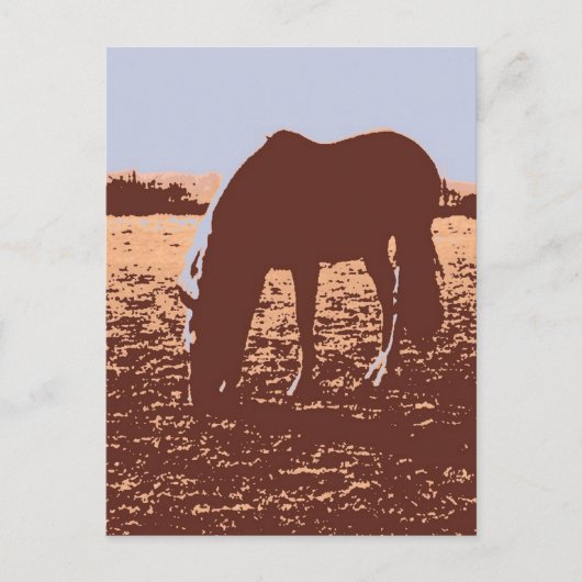 Pop Reiten Postkarte (Vorderseite)