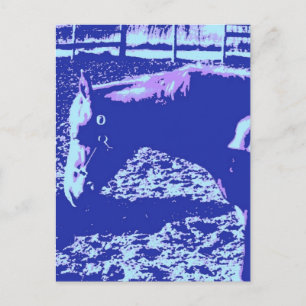 Pop Reiten Postkarte