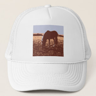 Pop Reiten Truckerkappe