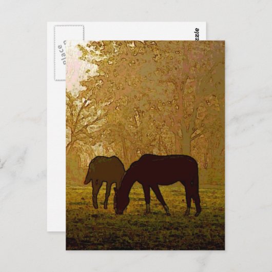 Pop Rossa Postkarte (Vorne/Hinten)