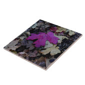 Pop von rosa Blattwerk Fliese (Seite)