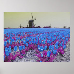 Popart blaue Tulpe-Windmühlen-Landschaft Poster