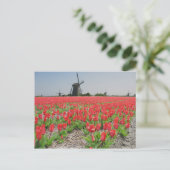 Popart Windmills Red Tulips Postcard Postkarte (Stehend Vorderseite)