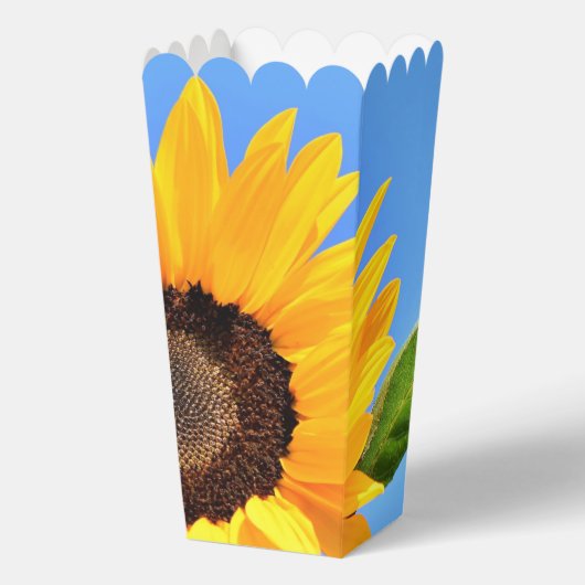 Popcorn-Box Geschenkschachtel (Vorderseite)