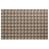 Popcorn Cavalier Spaniel Welpen, Stoff (Yard (91,4 cm))