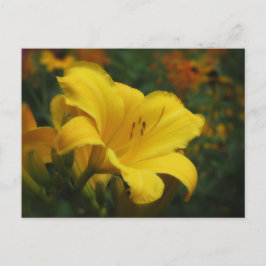 Popcorn Garden - Taglilie Postkarte