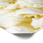 Popcorn-Hintergrund Fotodruck (Ecke)