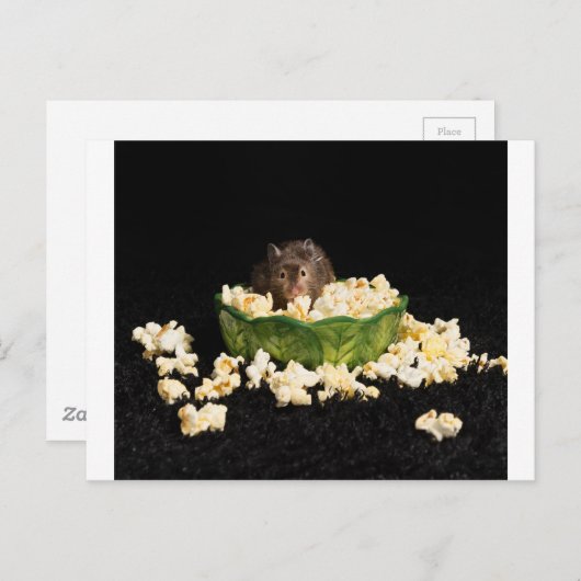 Popcorn-Liebhaber Postkarte (Vorne/Hinten)