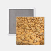 Popcorn Magnet (Vorderseite/Rückseite)