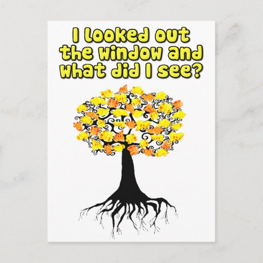 Popcorn Popping auf dem Aprikosenbaum Postkarte (Vorderseite)