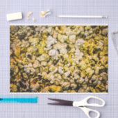 Popcorn Seidenpapier (Handwerk)