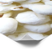 Popcorn Texture Fotografy Poster (Ecke)