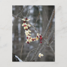 Popcorn und Cranberries Garland Postkarte
