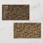 Popcorn Visitenkarte (Vorne/Hinten)