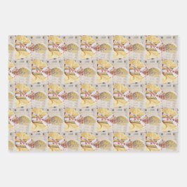 Pope Benedict XVI T - Shirt Geschenkpapier Set