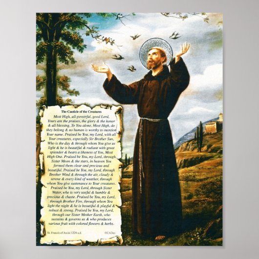 Pope Francis Canticle of the Creatures St Francis Poster (Vorne)