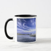 POPHAM BEACH STAAT PARK, MAINE. USA. Zirrus Tasse (Links)