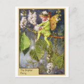 Poplar Fairy Postkarte (Vorderseite)