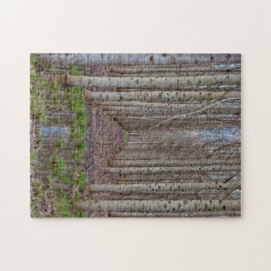 Poplar Grove Puzzle (Horizontal)