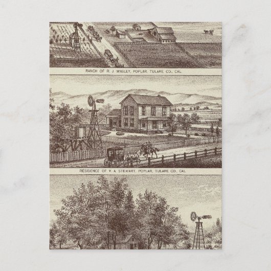 Poplar-Ranches Postkarte (Vorderseite)