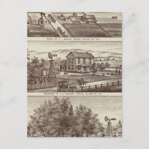Poplar-Ranches Postkarte
