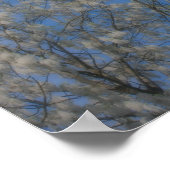 Poplar Tree Fluff Snow Im Juni Orton Naturelekunst Poster (Ecke)