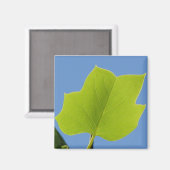 Poplar Tree Leaf Magnet (Vorderseite/Rückseite)
