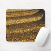 Poplarbaume im Herbst, Wanakasee, Otago, Mousepad (Mit Mouse)