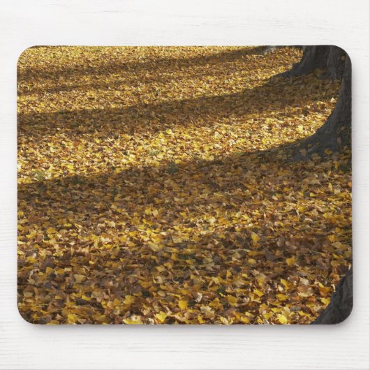 Poplarbaume im Herbst, Wanakasee, Otago, Mousepad (Vorne)