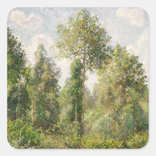 Poplars, Éragny Camille Pissarro Quadratischer Aufkleber