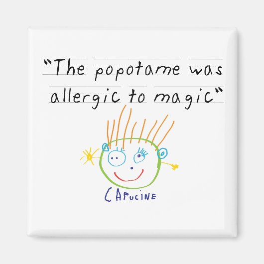 Popotame-Magnet Magnet (Vorne)