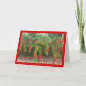 Poppen roter Blüten - das Lied von Sol. 4:1 Grußka Karte (Vorderseite)