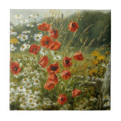 Popper und Ire Fliese (Vorderseite)