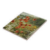 Popper und Ire Fliese (Seite)