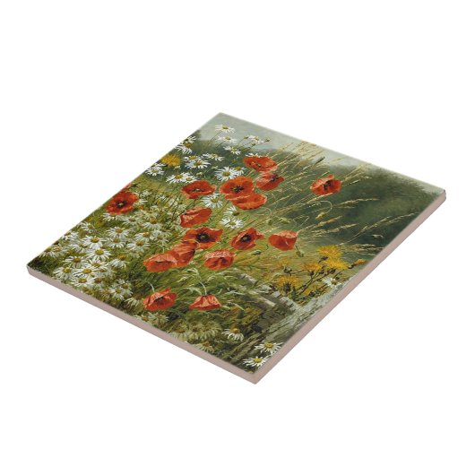 Popper und Ire Fliese (Seite)