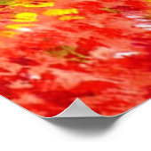 POPPIEN IN DER TUSKANIE POSTER (Ecke)