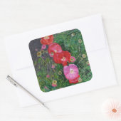 Poppies 2009 quadratischer aufkleber (Umschlag)