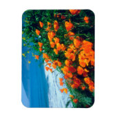 Poppies along the Pacific Coast near Big Sur Magnet (Vertikal)