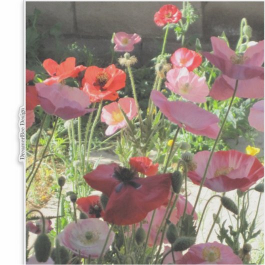 Poppies Aufkleber (Vorderseite)