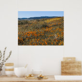 Poppies aus Kalifornien - Landschaft 2 Poster (Küche)