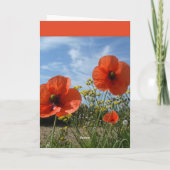 Poppies card karte (Rückseite)