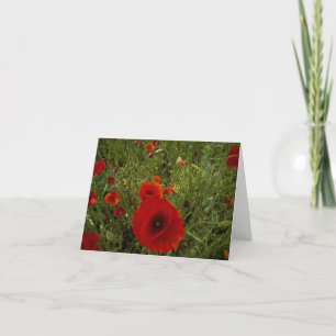 Poppies Dankeskarte
