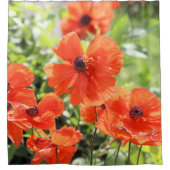 Poppies Duschvorhang (Vorderseite)