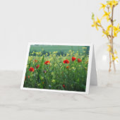 Poppies-Feld Karte (Gelbe Blume)